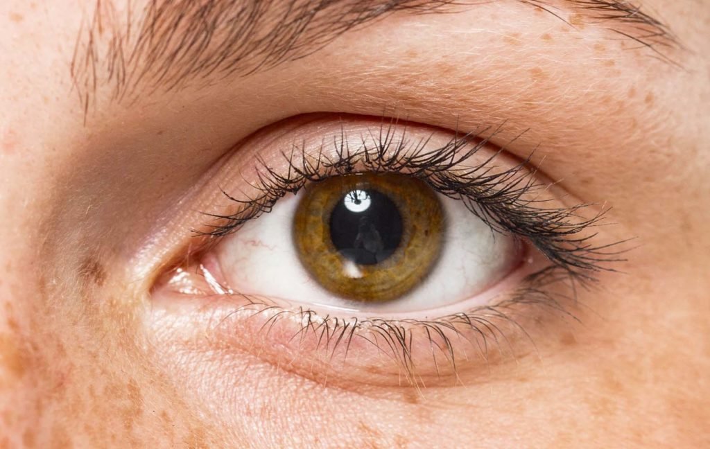Olho humano: saiba tudo sobre ele
